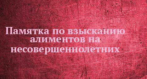 Алимент  турында  белешмә